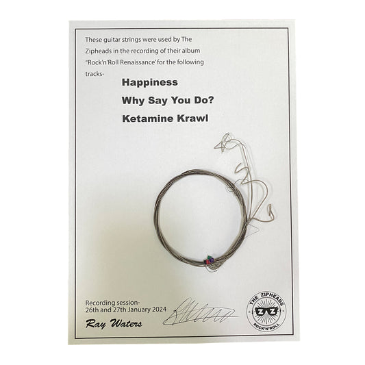 'Rock'n'Roll Renaissance' guitar strings session #2